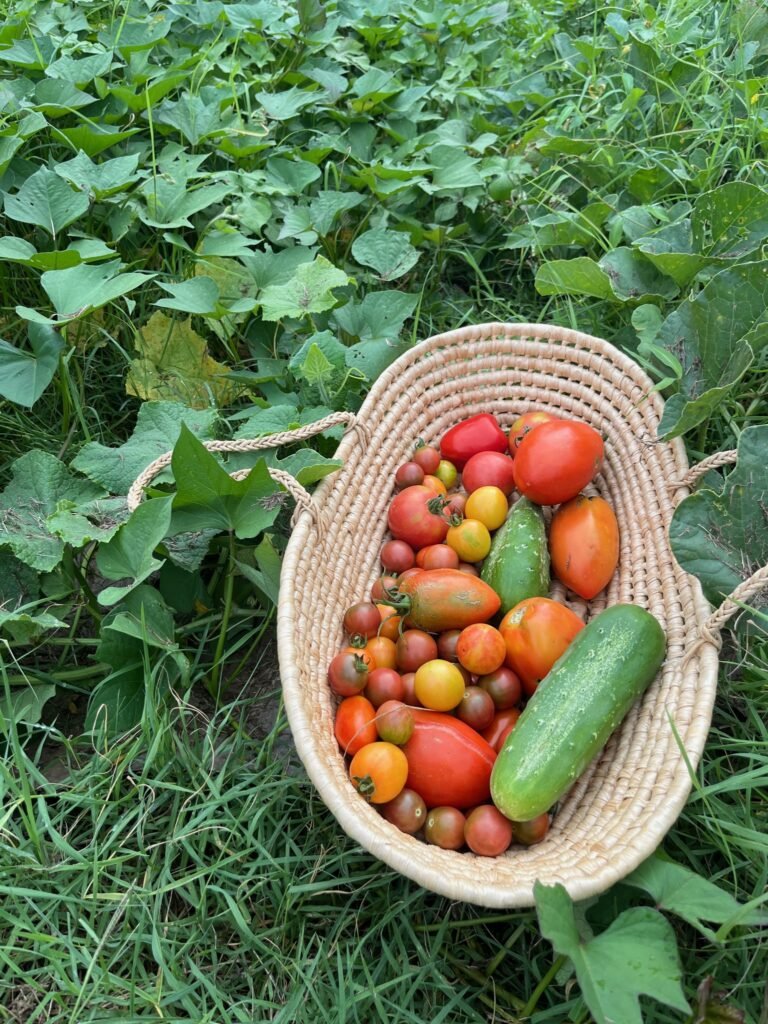 veggies