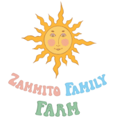 logo sunandzff